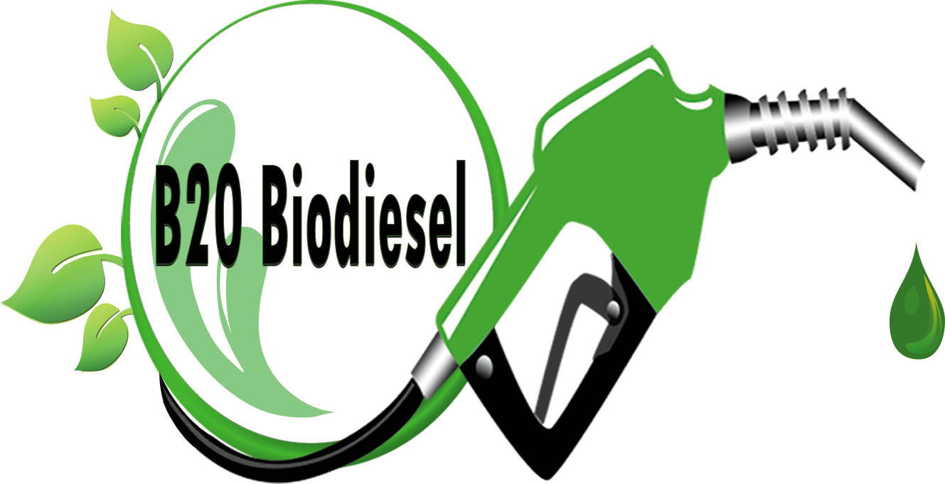 B20 Biodiesel